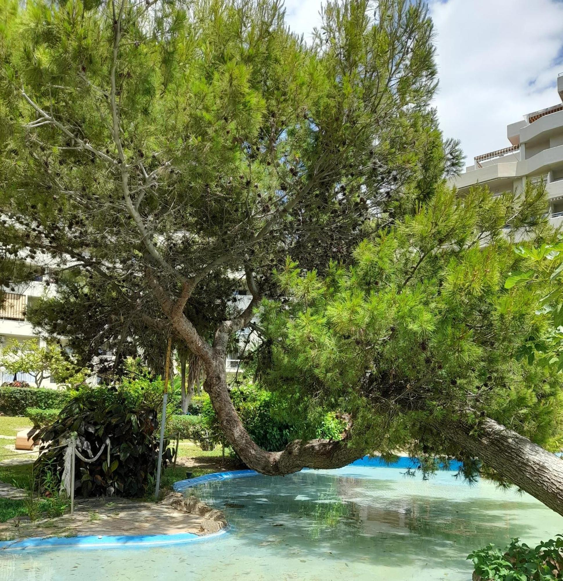 Benalbeach R&R Suite Беналмадена Екстериор снимка